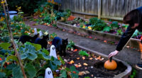 15 Best Halloween Garden Stakes for Spooky Outdoor Displays in 2027