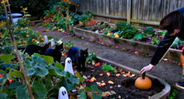 15 Best Halloween Garden Stakes for Spooky Outdoor Displays in 2027
