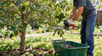 15 Best Mini Electric Chainsaws for Pruning and Yard Work in 2027