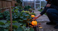 15 Best Solar-Powered Halloween Garden Lights for 2027