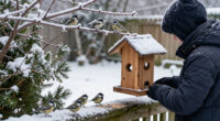 15 Best Winter Bird Feeders for Cold-Weather Feeding in 2027