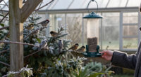 16 Of The Best Winter Bird Feeders That Look Good Enough To Leave Out All Year