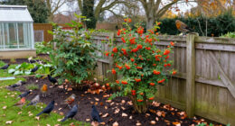 5 Plants To Plant In October To Help Robins, Finches, Redwings And Blackbirds Survive Winter, According To Wildlife Experts