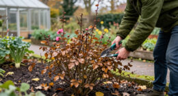 5 Shrubs To Prune In October For Healthier Growth And Better Blooms Next Year