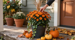 9 Best Halloween Outdoor Planters for Spooky Seasonal Displays in 2027