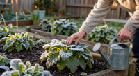 Don't Winterize These 7 Plants – They Actually Need The Cold To Grow Stronger Next Year