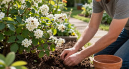 Forget Butterfly Bush – This Beautiful Swap Is Non-Invasive And Wildlife Loves It Even More