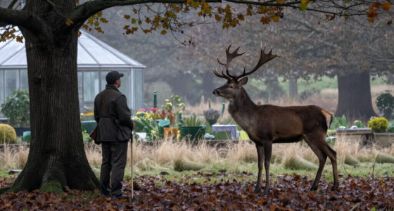 Freddy Krueger Deer: These Are The Monster Bucks That Still Haunt Our Nightmares
