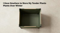 I Have Nowhere To Store My Tender Plants Over Winter – This Clever Pop-Up Shelter Protects Them Without Taking Up Space