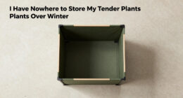 I Have Nowhere To Store My Tender Plants Over Winter – This Clever Pop-Up Shelter Protects Them Without Taking Up Space