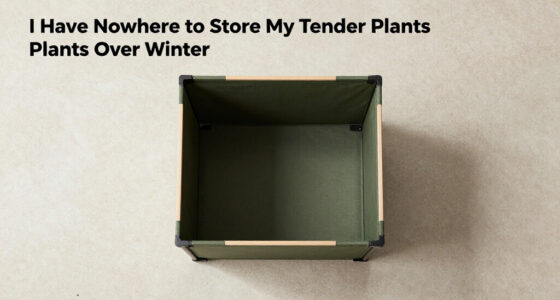 I Have Nowhere To Store My Tender Plants Over Winter – This Clever Pop-Up Shelter Protects Them Without Taking Up Space