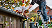 My Neighbour's Tree Keeps Blocking My Gutters With Leaves – What Can I Actually Do About It?