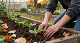 News: Plant In Autumn For More Resilience