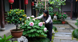 Plants For Luck, Love And Long Life: 9 Chinese Garden Favourites