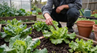 Slugs Are Back: 5 Simple Ways To Protect Your Vegetable Patch Before They Destroy Your Harvest