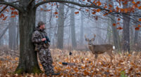 The 101 Best Tips For Hunting The Whitetail Rut