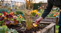 The Flower Gardeners Never Deadhead In October – Leave It For Wildlife, Fall Color And Winter Beauty