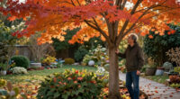 The Native Tree That Outshines Japanese Maple Every Fall – It Looks Gorgeous And Pollinators Love It, Too!