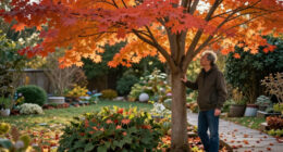 The Native Tree That Outshines Japanese Maple Every Fall – It Looks Gorgeous And Pollinators Love It, Too!