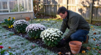 The One Flower To Grow If You Want Your Garden To Look Better After The First Frost