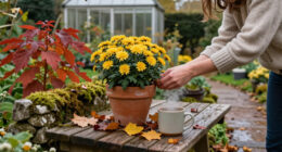 Want The ‘Meg Ryan Fall’ Garden? 7 Ways To Bring The Cosy Magic Of Nora Ephron Movies Outdoors