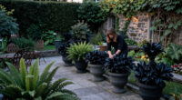 Want The Traitors’ Castle Look In Your Garden? 7 Ways To Create A Dramatic Stately Home Aesthetic At Home