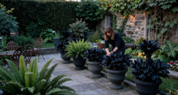 Want The Traitors’ Castle Look In Your Garden? 7 Ways To Create A Dramatic Stately Home Aesthetic At Home