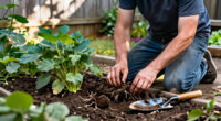 When To Divide Perennials—and How To Do It
